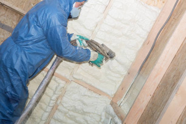 Types of Insulation We Offer in Downs, IL